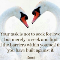 Getting the Love You Want®: Couples Workshop
